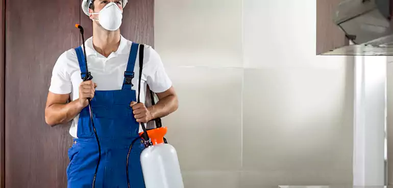 Why Miami Homeowners Choose Us When Pests Make Selling Difficult